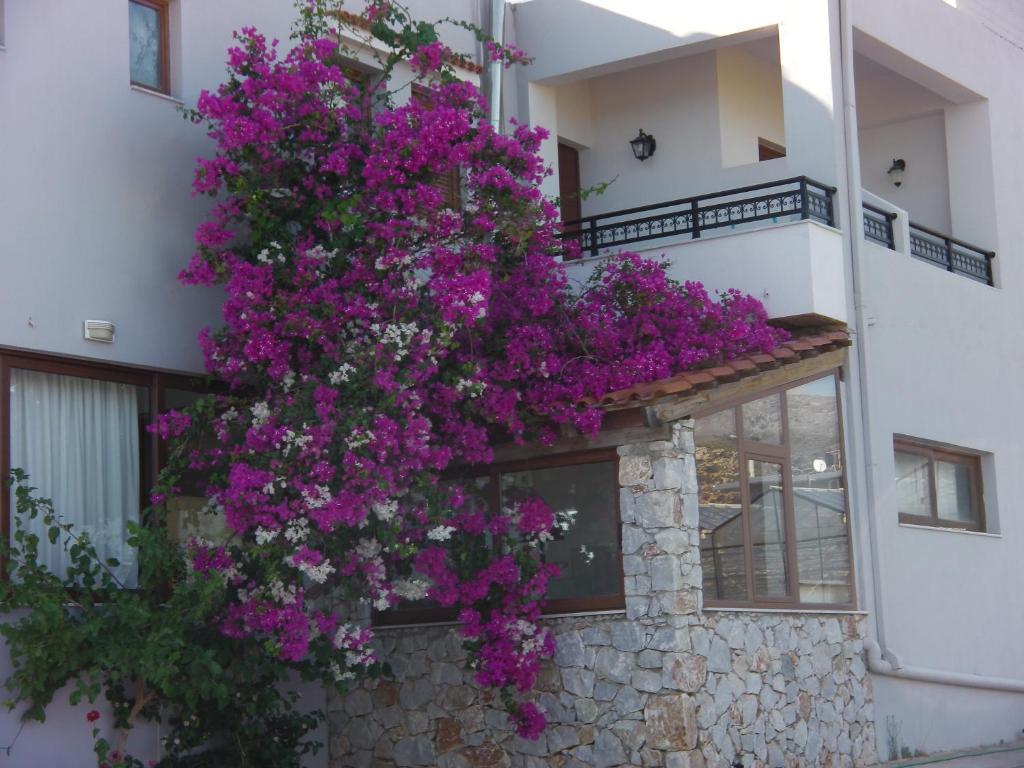Serenity Hideaway ปาไลโอโกรา ห้อง รูปภาพ
